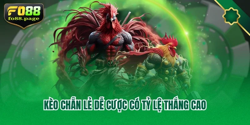 Kèo chẵn lẻ dễ cược có tỷ lệ thắng cao