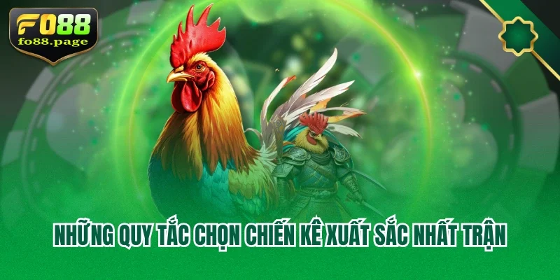 Những quy tắc chọn chiến kê xuất sắc nhất trận