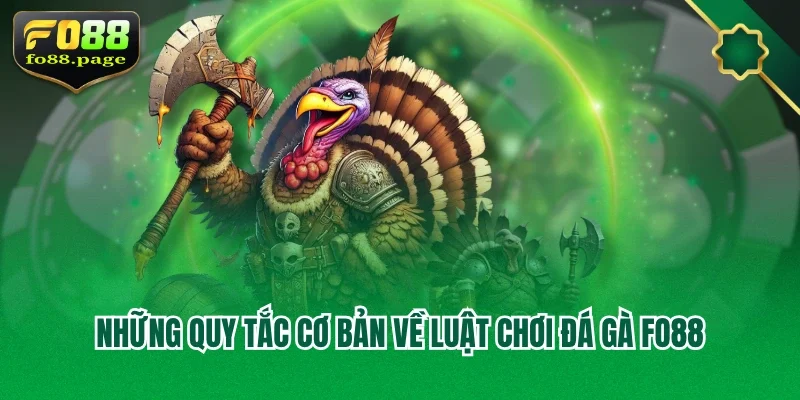 Những quy tắc cơ bản về luật chơi đá gà Fo88