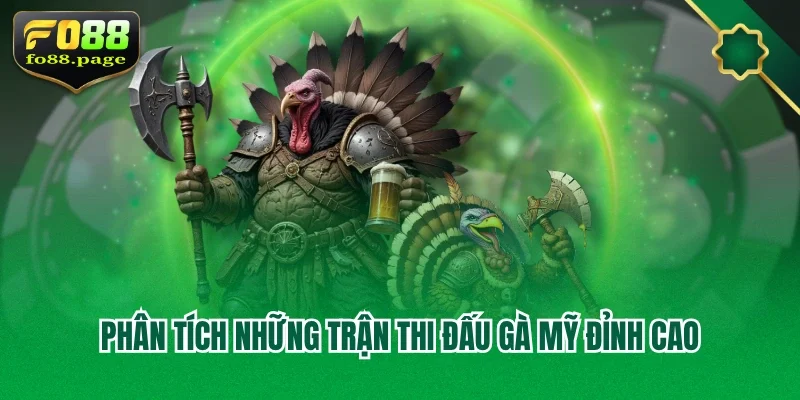 Phân tích những trận thi đấu gà Mỹ đỉnh cao